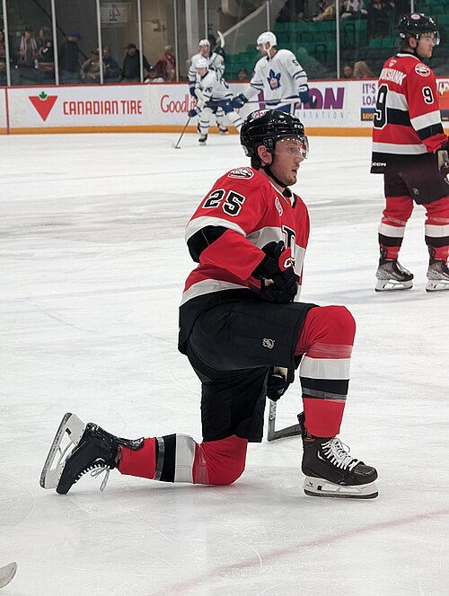 Photo: Hockeywithry / CC BY 4.0 Tyler Kleven